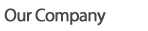 Our Company
